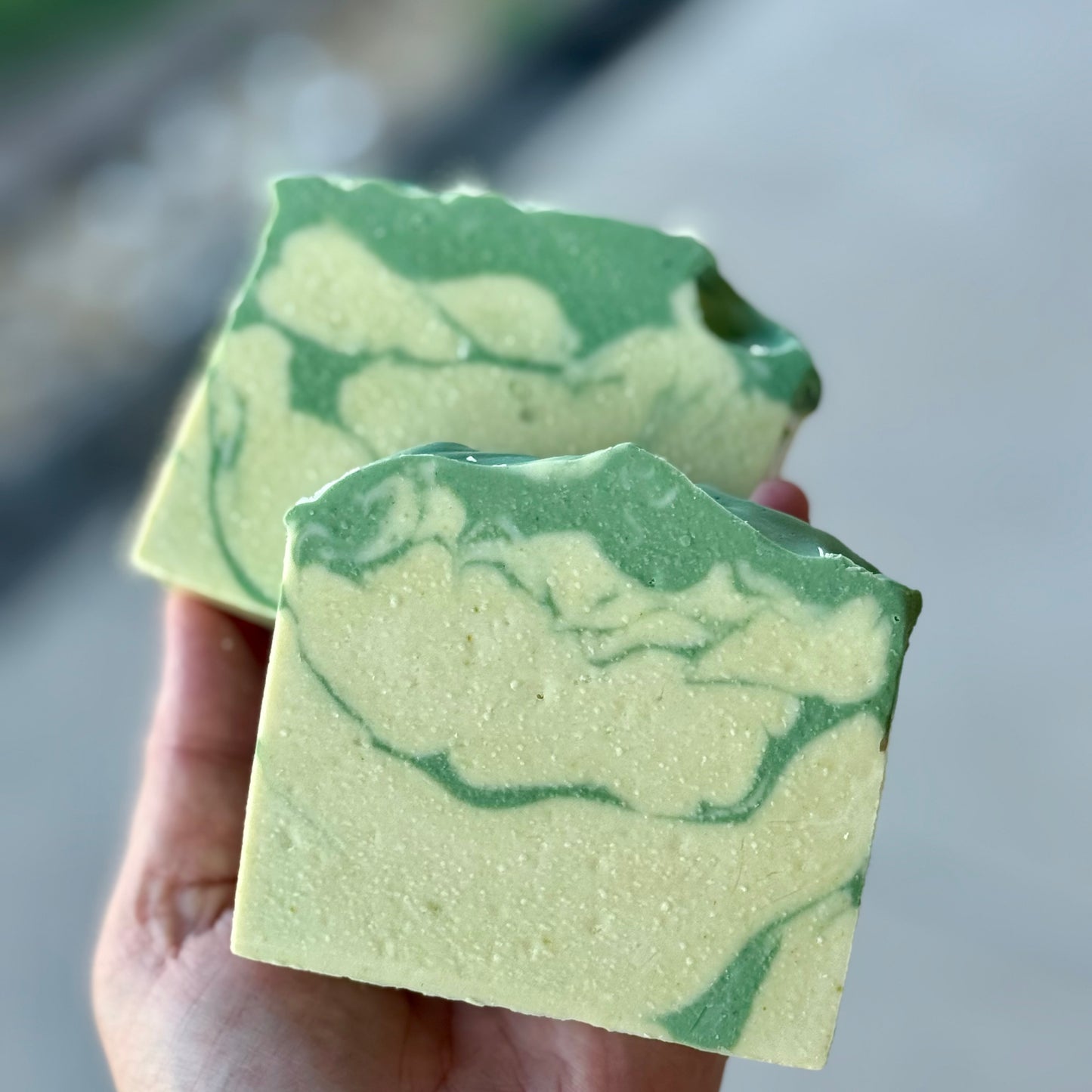 Eucalyptus